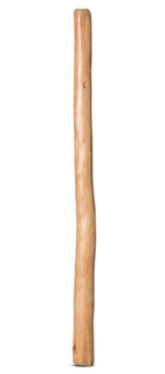 Medium Size Natural Finish Didgeridoo (TW1646)